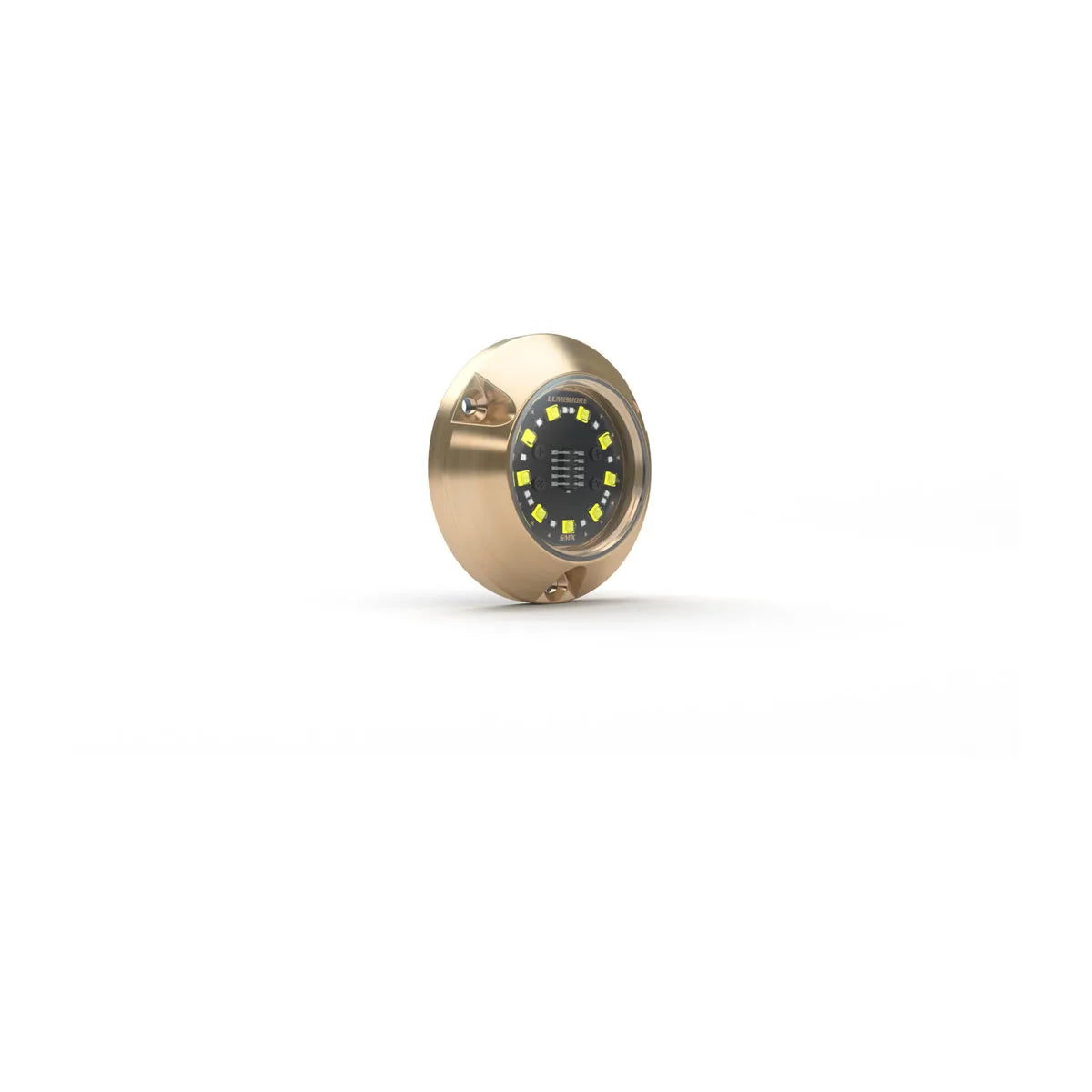 Lumishore® SMX11 Underwater Surface Mount