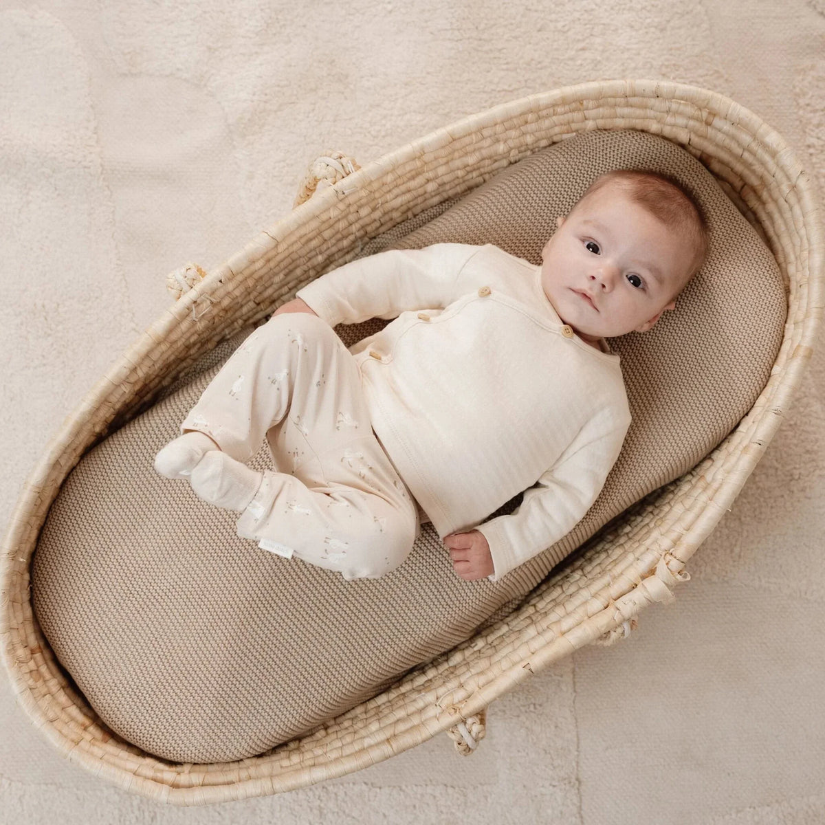 Legging - Beige - Newborn Naturals - Little Goose
