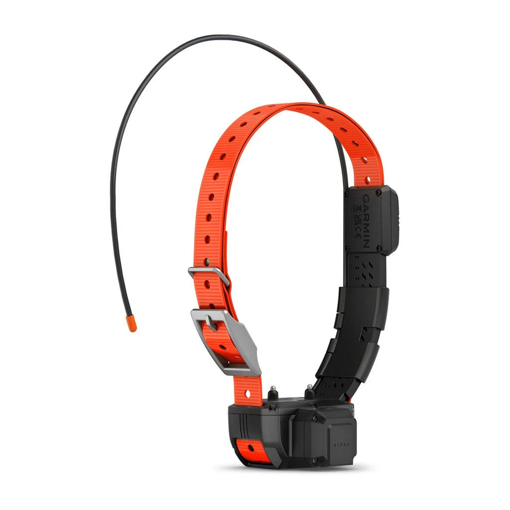 Alpha® TT 25 Dog Collar and Alpha® LTE Dog Tracker