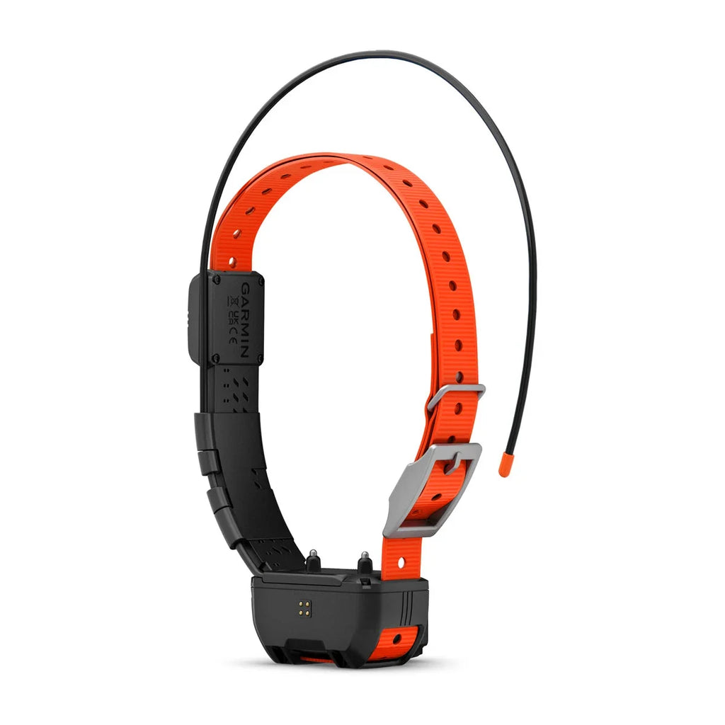 Alpha® TT 25 Dog Collar and Alpha® LTE Dog Tracker