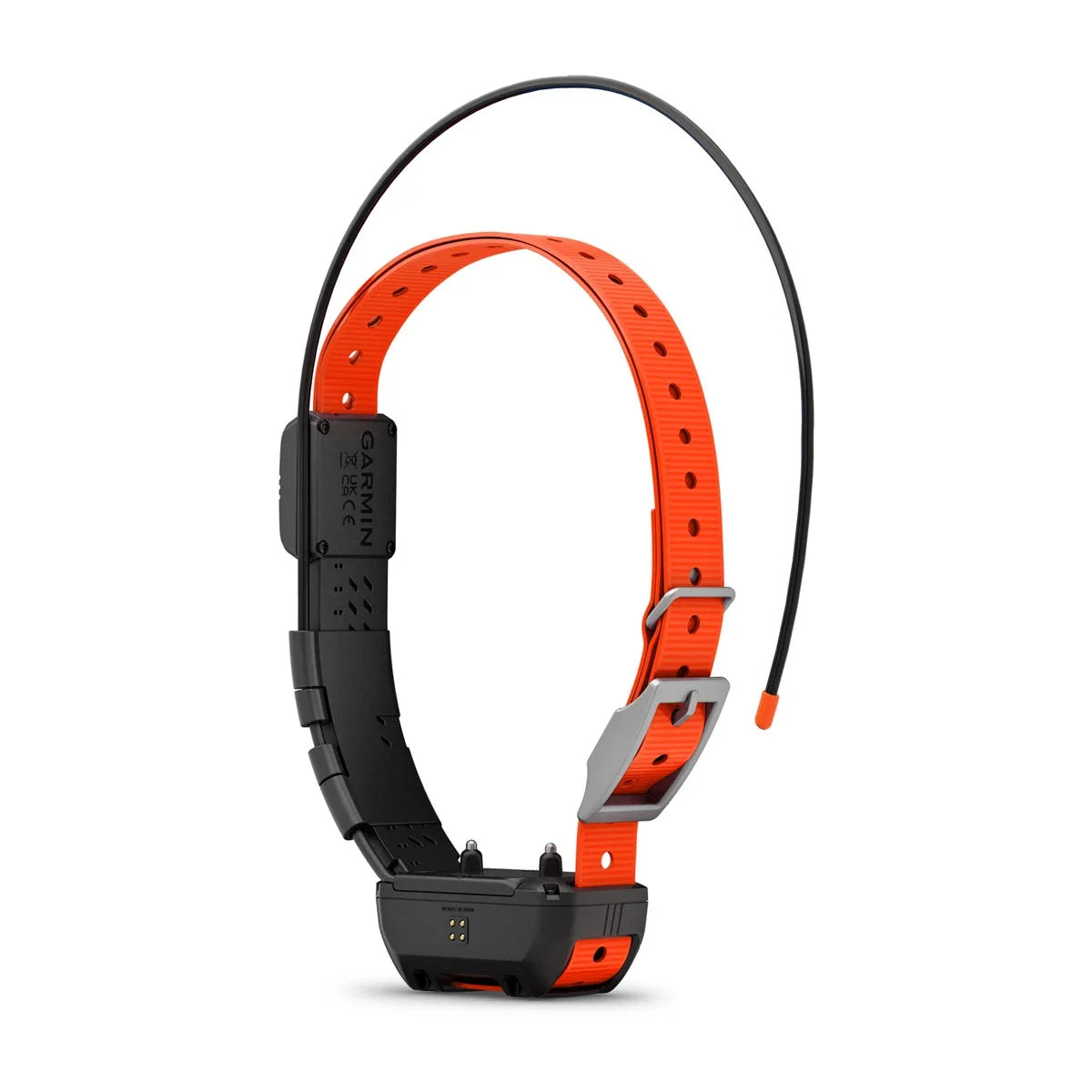 Alpha® TT 25 Dog Collar and Alpha® LTE Dog Tracker