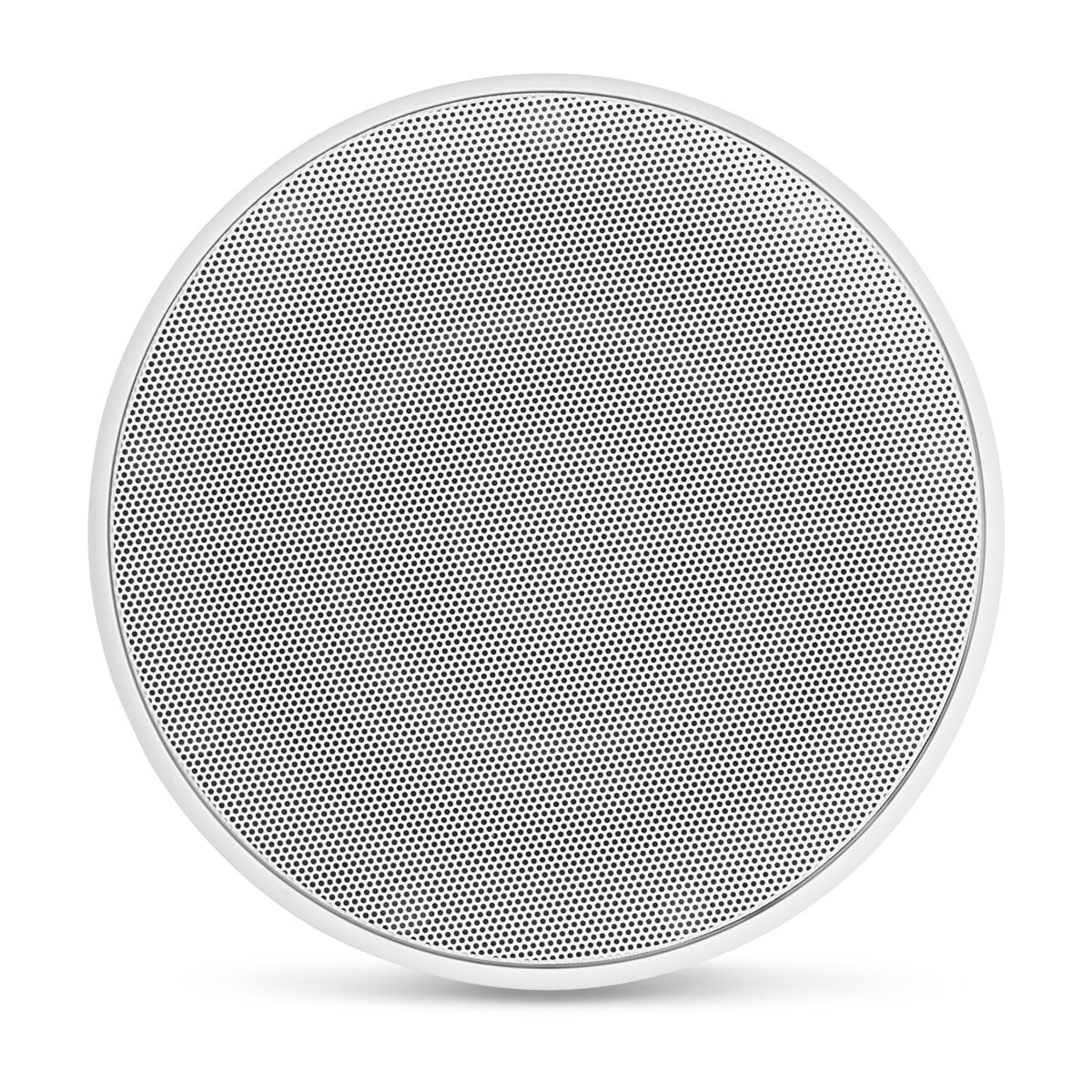 Pavilion™ Outdoor In-Ceiling Speaker