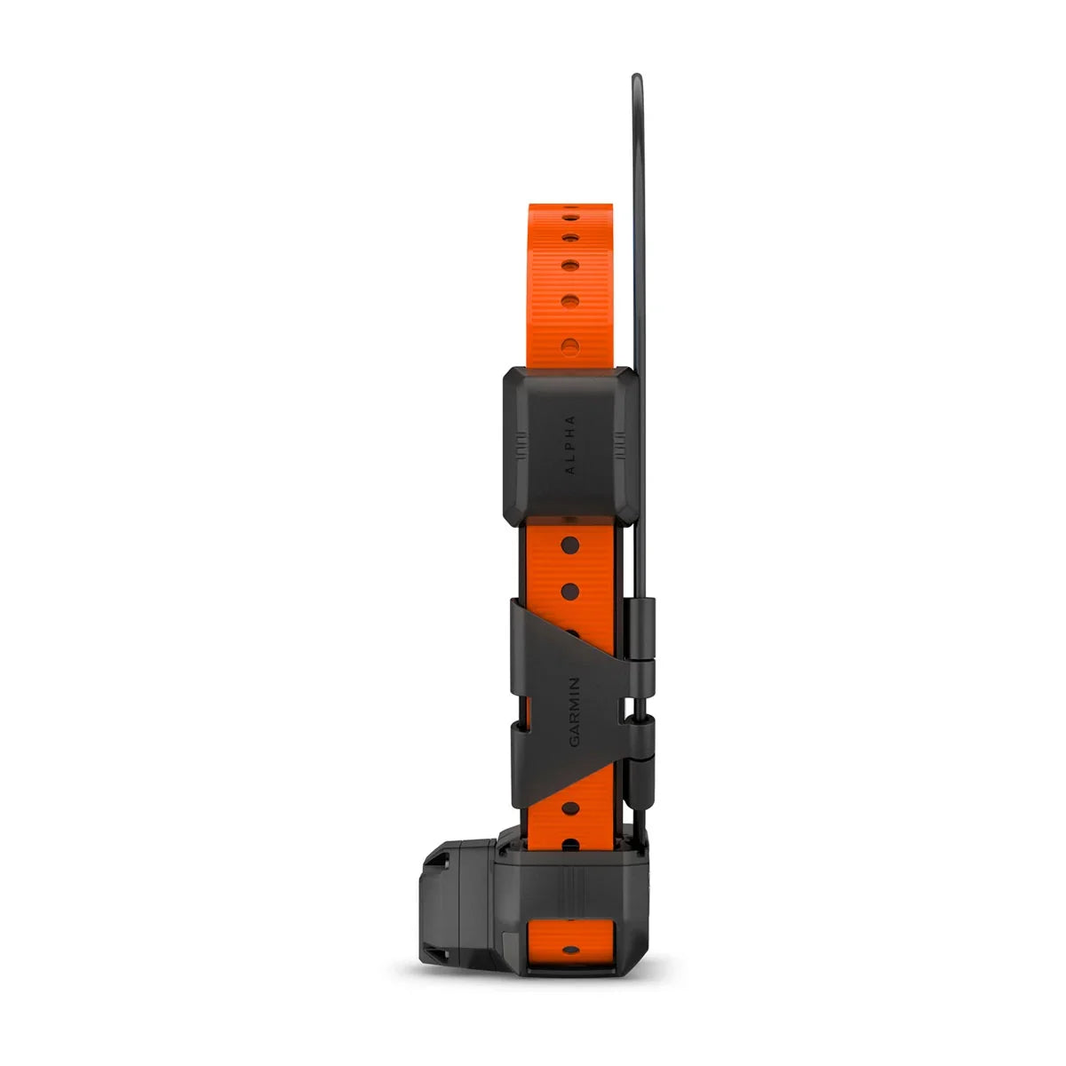 Alpha® TT 25 Dog Collar and Alpha® LTE Dog Tracker