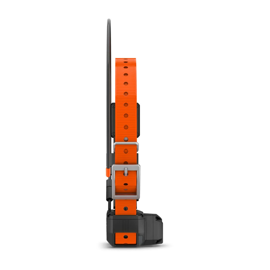 Alpha® TT 25 Dog Collar and Alpha® LTE Dog Tracker