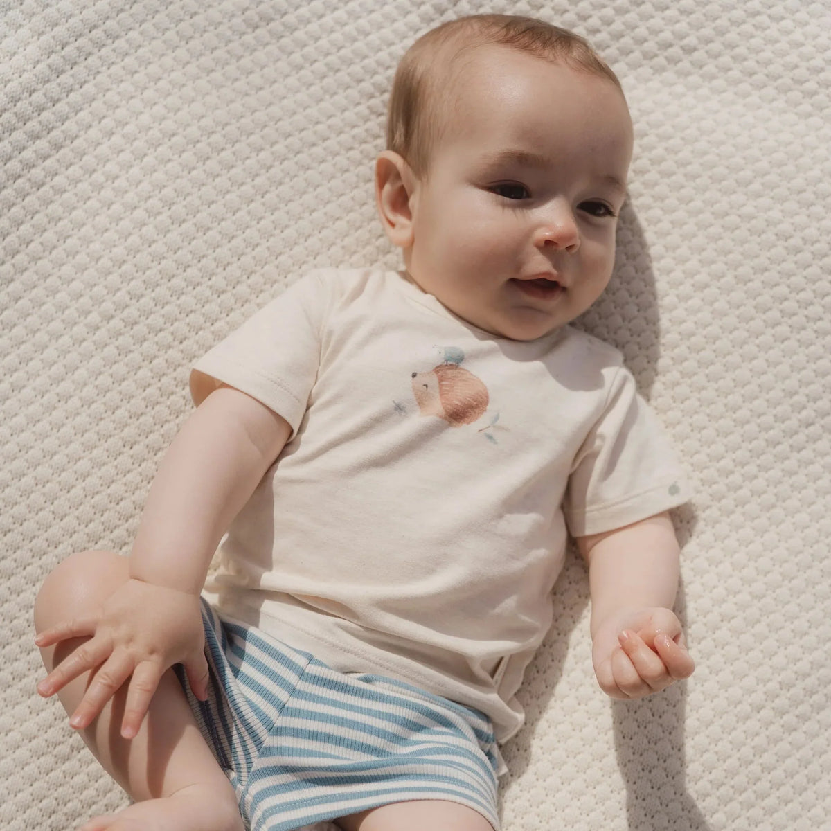 Gestreepte korte broek - Blauw