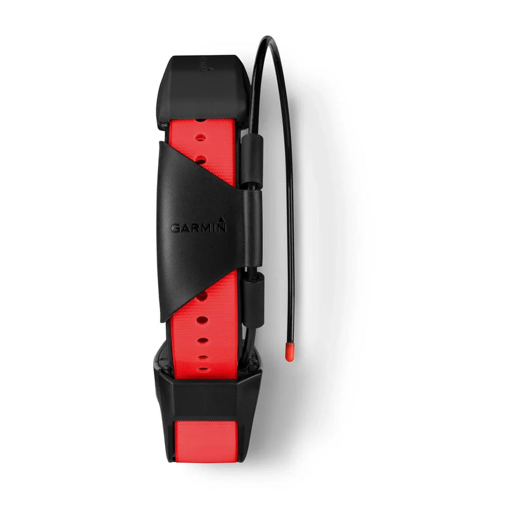 TT™ 15X Dog Collar
