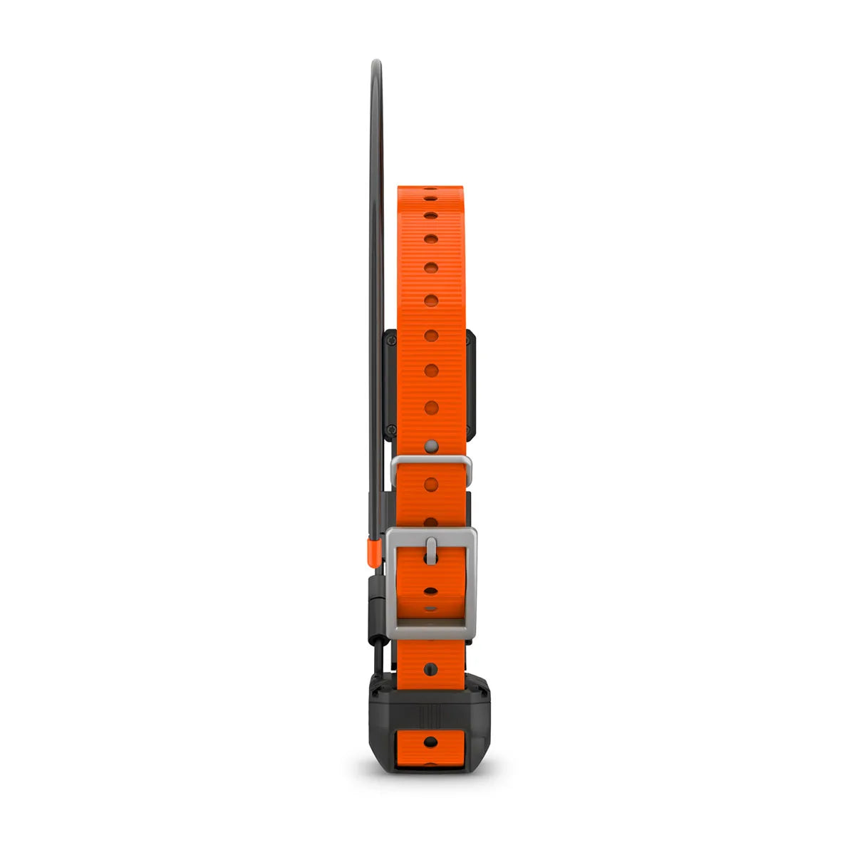 Alpha® TT 25 Dog Collar and Alpha® LTE Dog Tracker
