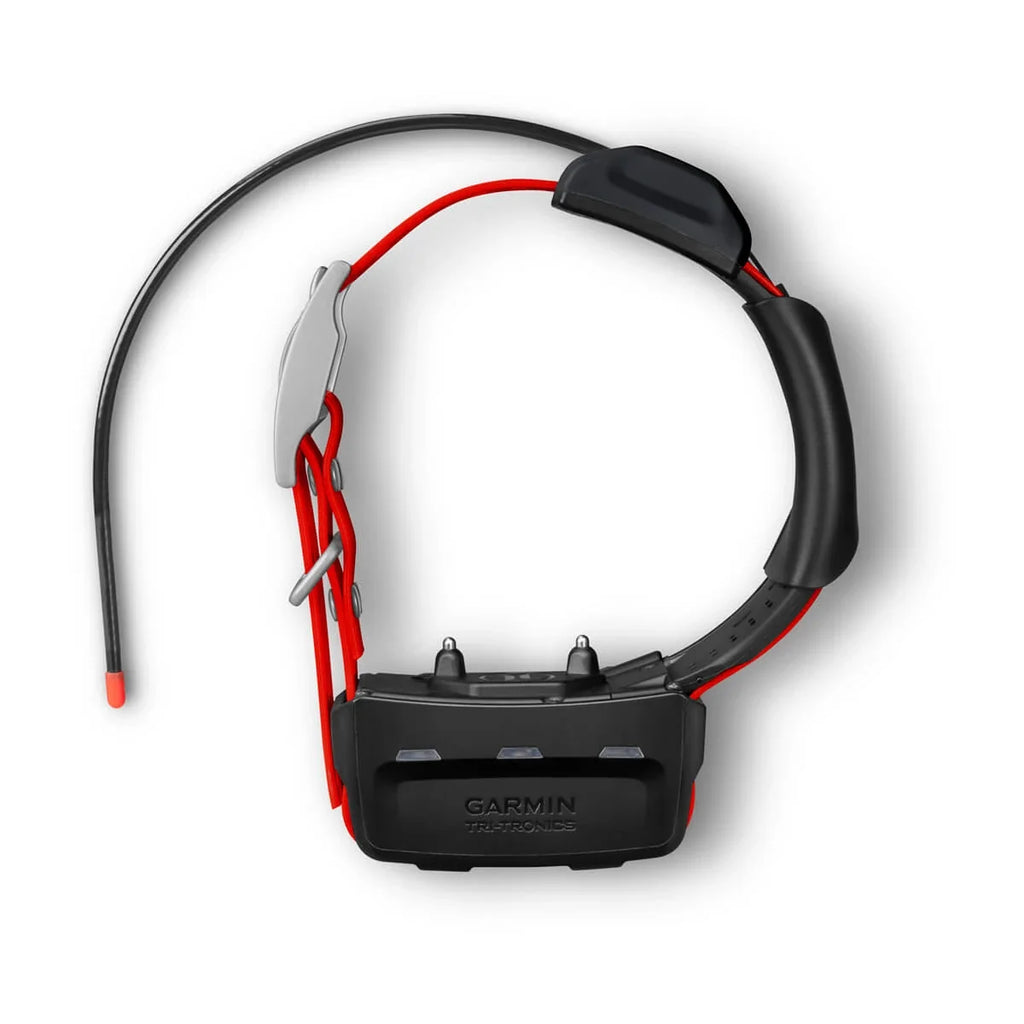 TT™ 15X Dog Collar