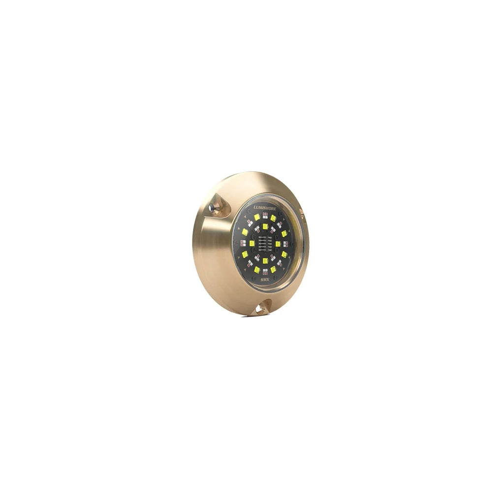 Lumishore® SMX11 Underwater Surface Mount