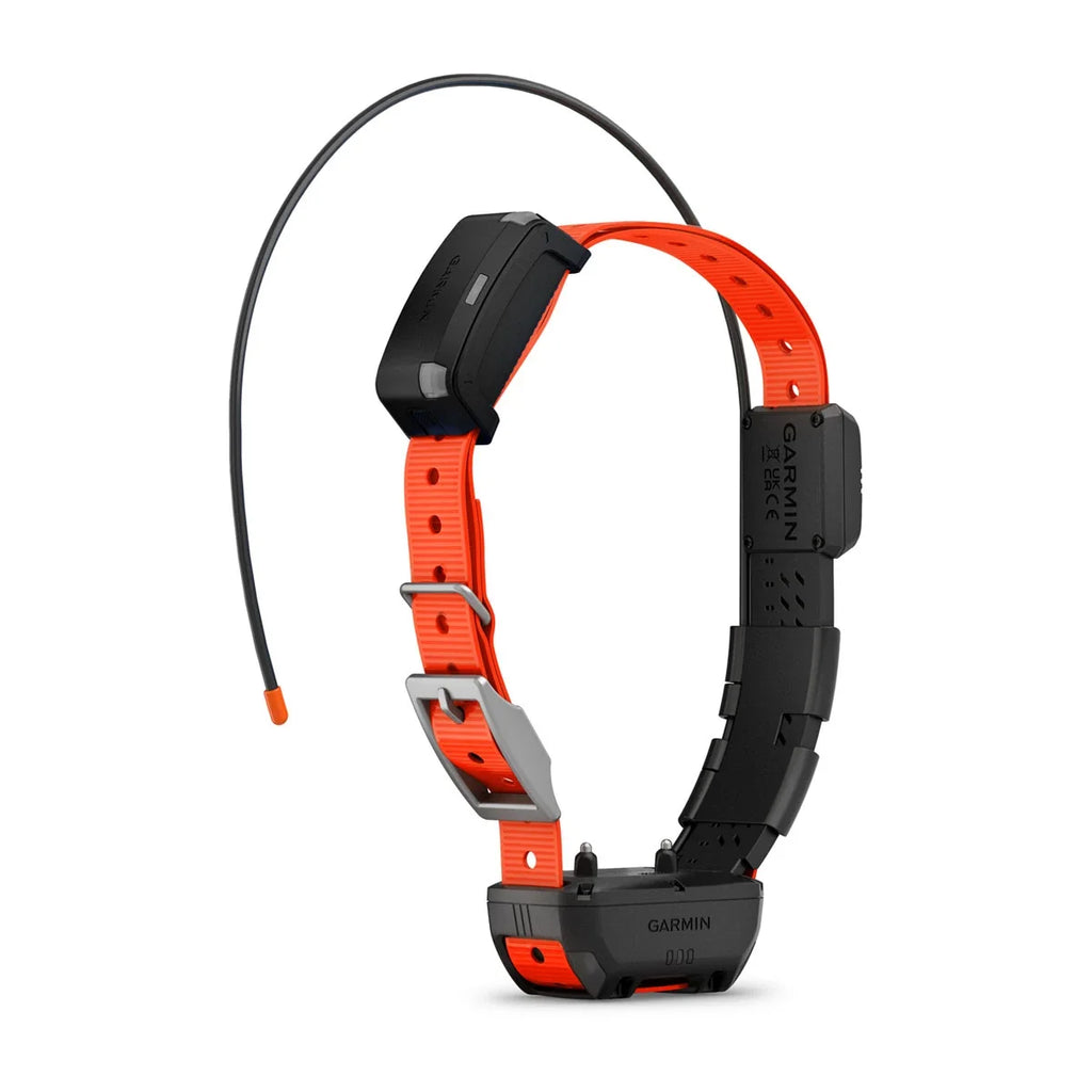 Alpha® TT 25 Dog Collar and Alpha® LTE Dog Tracker